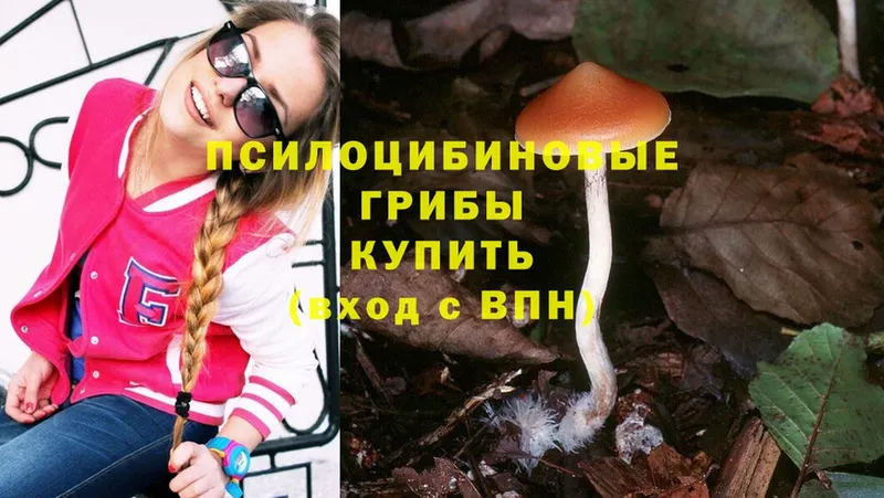 Галлюциногенные грибы Cubensis  хочу   Горячий Ключ 